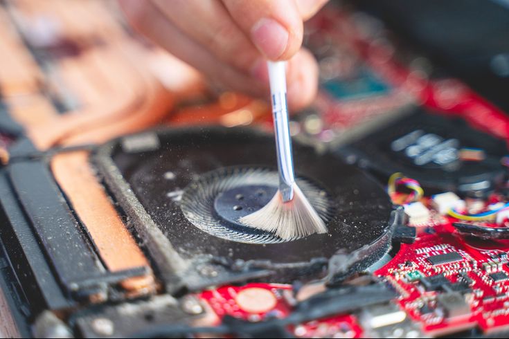 Limpieza Fisica Estándar - Interna y Externa